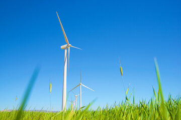 Wind turbine generators for green electricity production