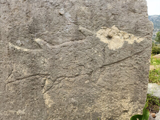 A fish figure carved on a stone block in the Aoren city ruins