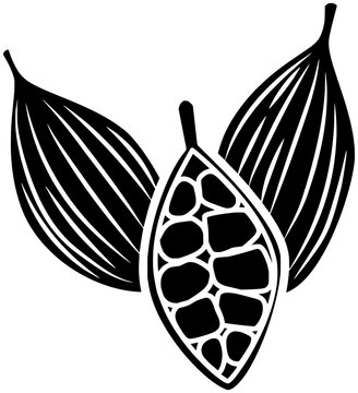 cardamom illustration food silhouette spice logo caraway icon kitchen outline ingredient natural rosemary anise cumin nutmeg ginger basil seed shape dill engraved garlic for vector graphic background