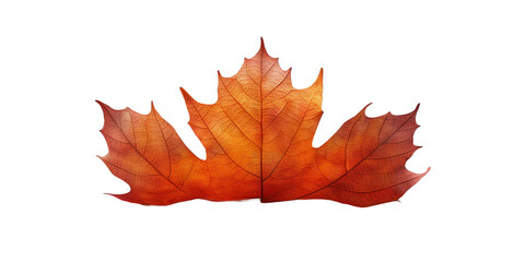 Fototapeta premium autumn maple leaf transparent background