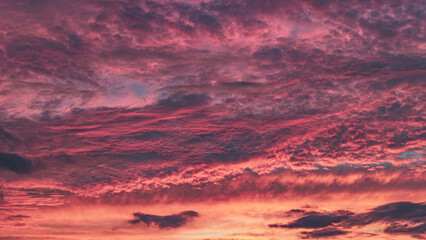 Fototapeta premium sunset