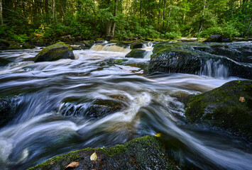 Scenic ivew of a river flowing through a lush forest with trees and rocks