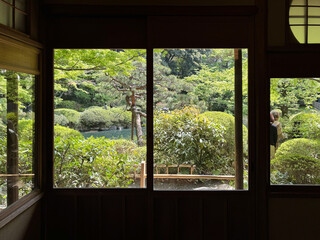 A window of view