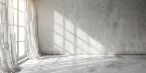 white empty room with shadow window and green plant on white wall luxury background and wooden floor