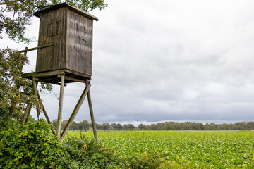 Open field with a prominent brown tower in the foreground