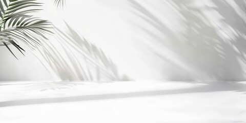 Obraz premium white empty room with shadow plant on white wall, empty white marble stone counter table top with shadow , white stucco cement luxury wall for product display presentation