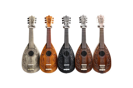 Dilruba Instruments isolated on transparent background.