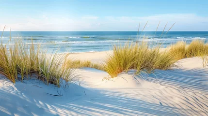 Golden dunes meet azure sea, beach grass sways gracefully, creating a serene and picturesque coastal view.