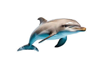 Obraz premium Dolphin Figurine isolated on transparent background.