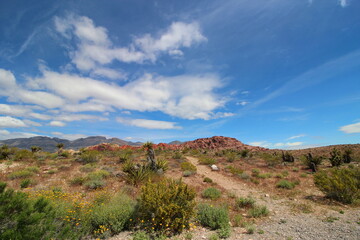 Scenic view of rocky hills and green vegetation in Red Rock Canyon, Nevada, USA