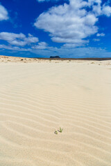 sand dunes in the desert, boa vista, cape verde