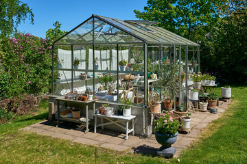 Beautiful greenhouse glass house in the garden courtyard. Lots of pots with blooming blossom...