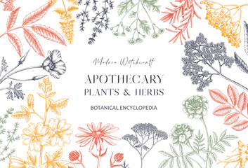 Apothecary plant frame design. Witchcraft book cover. Herbal remedies, medicinal plants, natural medicine hand-drawn vector illustration. Vinatge herbs background. NOT AI generated © sketched-graphics