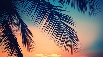 Fototapeta premium Tropical Sunset Over Palm Trees