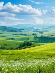 Fototapeta premium Panoramic Landscape of Green Hills with Blossoming Flowers