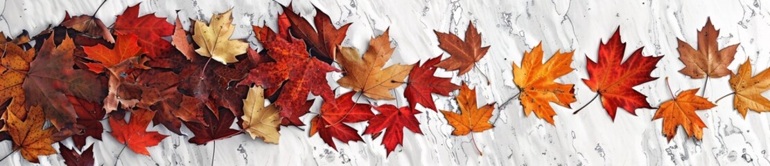 Autumn Leaves Border