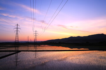 鉄塔と田園風景