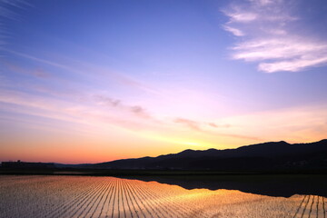 美しい朝焼け空と田園模様
