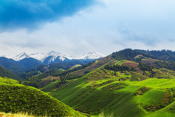 View of the  Ile Alatau  mountains in the national natural park on a bright sunny day.