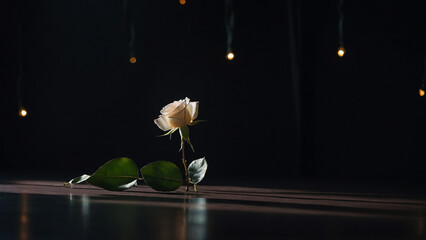 Bouquet of white rose and baby's breath on black background
