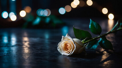 Bouquet of white rose and baby's breath on black background
