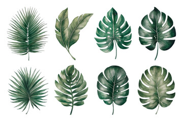 Collection of Elegant Botanical Leaves: High-Quality Leaf Vector Illustrations | Tropical Leaf Vector Set