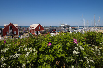 Scenic view to the  Vesterø harbour in summer, Læsø, Nordjylland, Denmark	