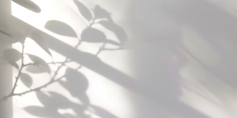 white empty room with shadow plant on white wall,  empty white marble stone counter table top with shadow , beige brown luxury wall for product display presentation 