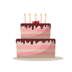 Birthday cake with candles on white background