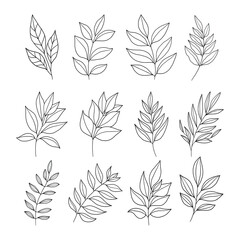  Set of leaves illustration vector