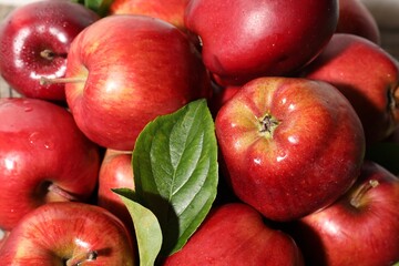 Many fresh apples and leaves as background, above view