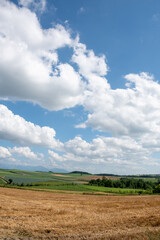 Fototapeta premium 夏の畑作地帯と山並み 十勝岳連峰 