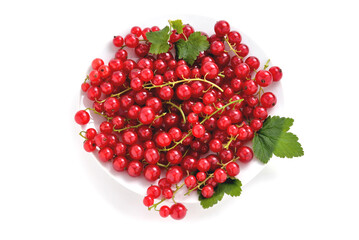 natural, juicy red currants in a white plate on a white background, close-up