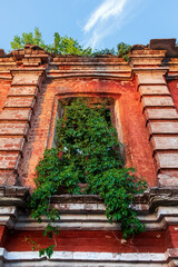 Fototapeta premium Facade of an old building with branches with green leaves in a window without glass. Abandoned red brick house in retro style with trees growing on it
