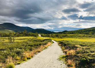 Trail between Domb&aring;s and Hjerkinn and is suitable for both hiking and cycling. The trail is part of Tour de Dovre cycling route.