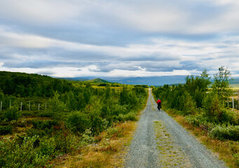 Woman cycling on the National Park Trail. The trail runs between Dombås and Hjerkinn and is suitable for both hiking and cycling. The trail is part of Tour de Dovre cycling route.