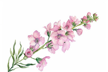 Obraz premium painting watercolor flower background illustration floral nature. pink flower background for greeting cards weddings or birthdays. Copy space