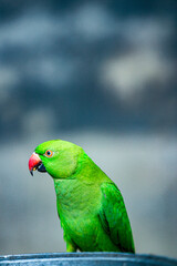 Awesome new Tia beautiful picture.