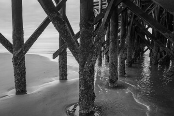 Landscape  on North Sea  in Germany