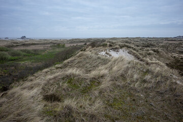 landscape of dunes on the North Sea in Germany