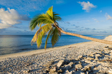 Sandy beach in Maldives island. Tropical banner with ocean and evening warm sun light