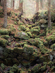 Green Moss on Man-made Stones in the Woods