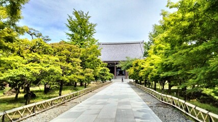 Japan, Kyoto, Osaka, sightseeing spots