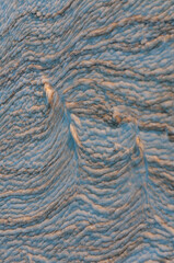 Wavy dirty foam near the shore in Tuzlovsky estuary, Ukraine