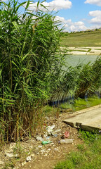 Wildlife plastic pollution, garbage and propylene bottles on the shore of the lake