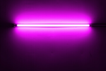 Purple neon lamp on a white wall for design