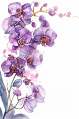 painting watercolor flower background illustration floral nature. Purple orchid flower background for greeting cards weddings or birthdays. Copy space