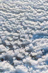 Weathered ice and frozen snow in the form of needle crystals on the bank of the Tiligul Estuary on...