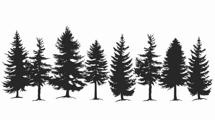 Black silhouettes of fir trees on a white background