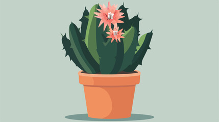 Blooming succulent in pot. Cartoon cactus flower house